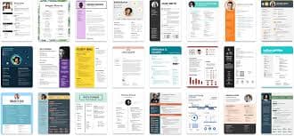 2. Personal Portfolio Builder (One-click CV Generator)